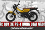 Ắc quy xe PG-1 dùng loại nào? Giá bao nhiêu tiền?                        