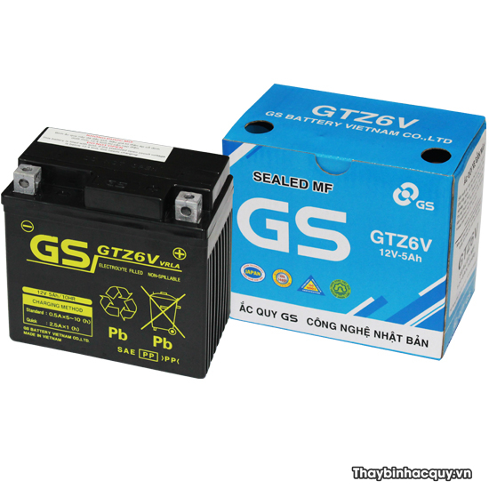 Bình ắc quy GS GTZ6V 12V-5Ah