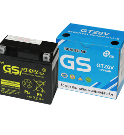 Bình ắc quy GS GTZ6V 12V-5Ah