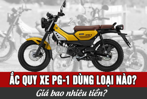 Ắc quy xe PG-1 dùng loại nào? Giá bao nhiêu tiền?                        